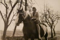 das zu löschende Bild